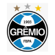 Grêmio Foot-Ball Porto Alegrense
